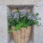 Βίλα Trullo Morello - Trullo O Lamia Ostuni