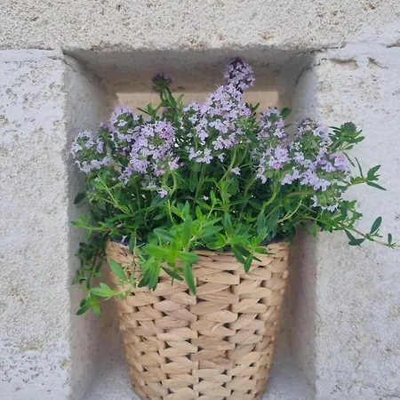 Villa Trullo Morello - Trullo O Lamia Ostuni