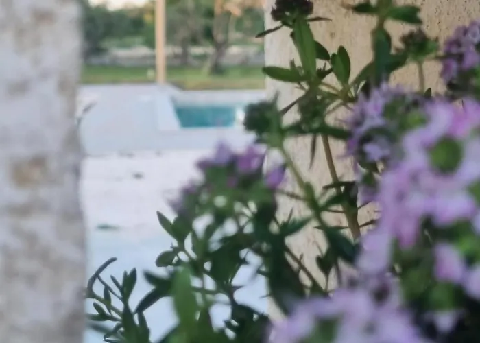 别墅 Trullo Morello - Trullo O Lamia