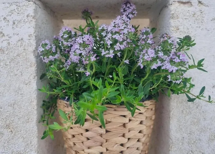 别墅 Trullo Morello - Trullo O Lamia 奥斯图尼